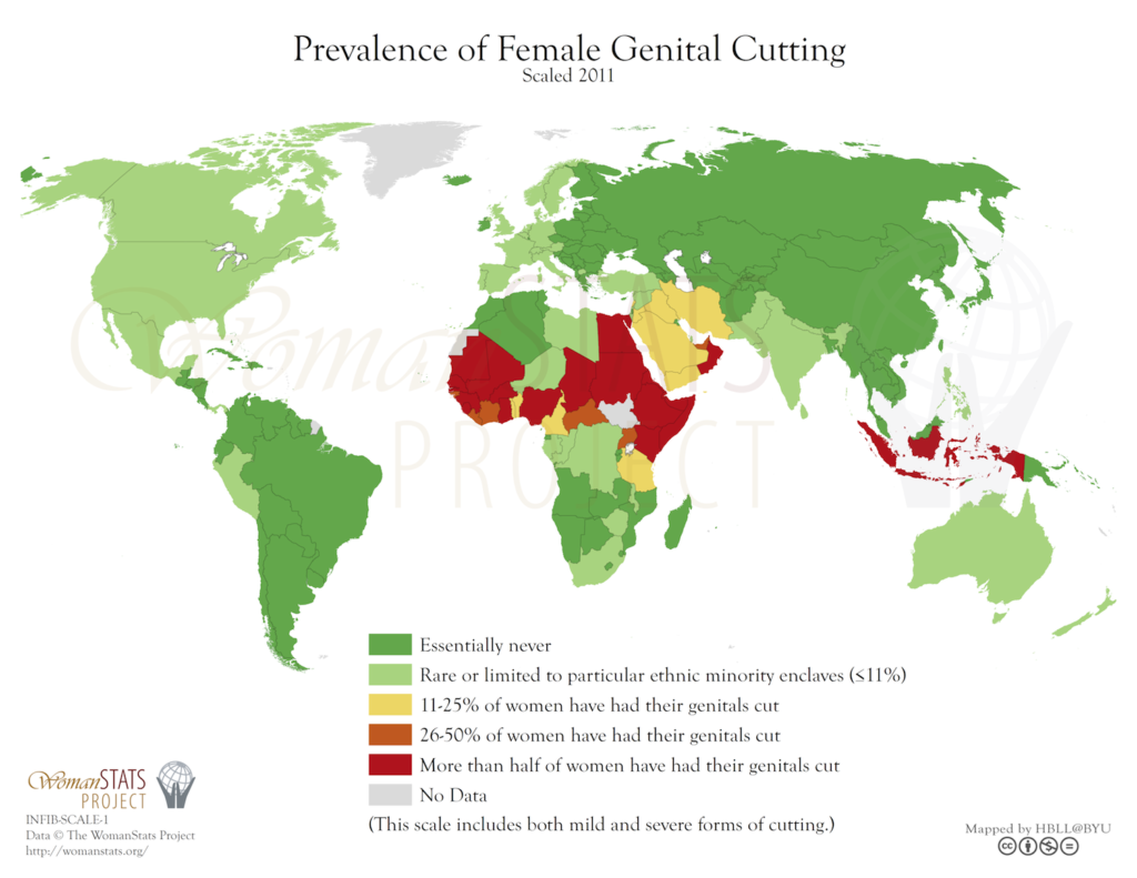 Female Genital Mutilation A Global Issue Safecity